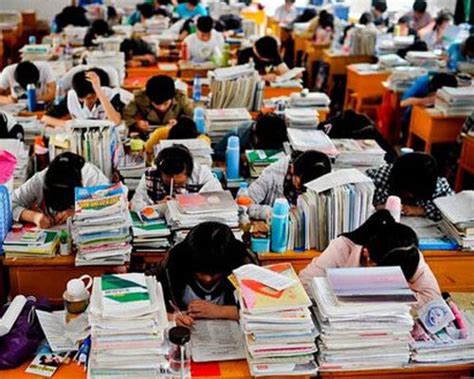 what are people in china educated about